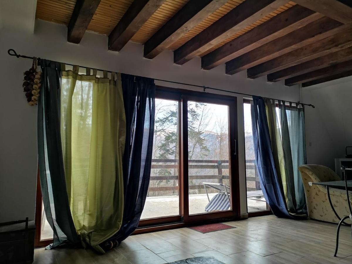 Vila Ines Σινάια Εξωτερικό φωτογραφία
